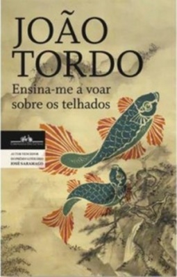 Ensina-me a voar sobre os telhados