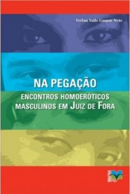 Na pegação: encontros homoeróticos masculinos em Juiz de Fora