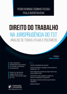 Direito do trabalho na jurisprudência do TST: análise de temas atuais e polêmicos