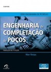 Engenharia de completação de poços