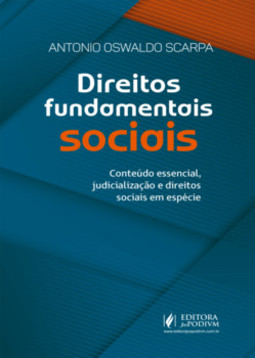 Direitos fundamentais sociais: conteúdo essencial, judicialização e direitos sociais em espécie
