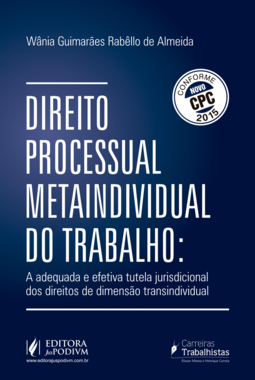 Direito processual metaindividual do trabalho - tutela jurisdicional dos direitos de dimensão transindividual