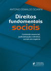 Direitos fundamentais sociais: conteúdo essencial, judicialização e direitos sociais em espécie