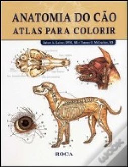 Anatomia do cão: Atlas para colorir
