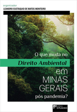 O que muda no direito ambiental em Minas Gerais pós pandemia?