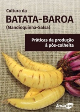 Cultura da batara-baroa (mandioquinha-salsa)
