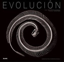 EVOLUCION
