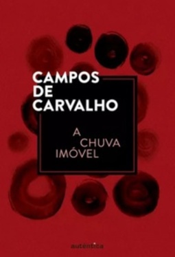 A Chuva Imóvel