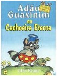 Adão Guaxinim na Cachoeira Eterna