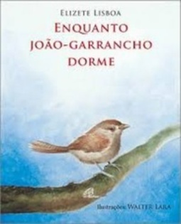 Enquanto João-Garrancho Dorme (Coleção Fazendo a Diferença)