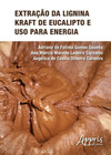 Extração da lignina kraft de eucalipto e uso para energia