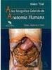 Atlas Fotográfico Colorido de Anatomia Humana: Tórax, Abdome e Pelve