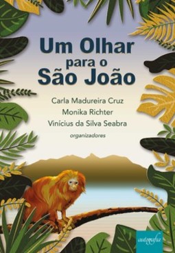 Um olhar para o São João