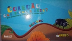 Besouro (Que bicho é esse? #3)