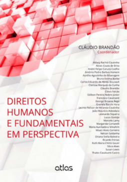 Direitos humanos e fundamentais em perspectiva