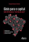 Oásis para o capital - solo fértil para a "corrida de ouro": a dinâmica dos investimentos produtivos chineses no Brasil