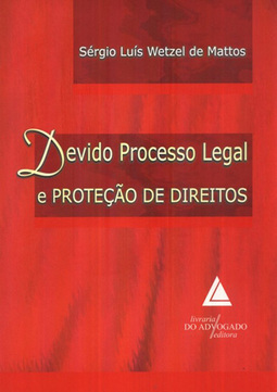 Devido processo legal e proteção de direitos