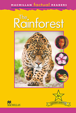 The Rainforest
