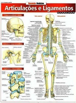 ARTICULACOES E LIGAMENTOS - AVANCADO