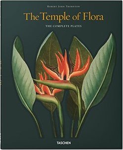 The Temple Of Flora