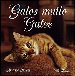 Gatos Muito Gatos