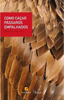 Como caçar pássaros empalhados