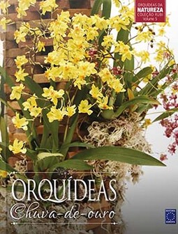 Orquídeas chuva-de-ouro