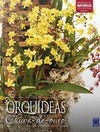 Orquídeas chuva-de-ouro