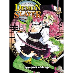 Demon Slayer - Kimetsu No Yaiba Vol. 14