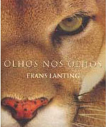 Olhos nos Olhos - Importado