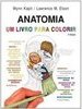 Anatomia: um Livro para Colorir