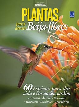 Especial natureza: plantas para atrair beija-flores