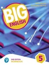 Big English 5: workbook - American edition