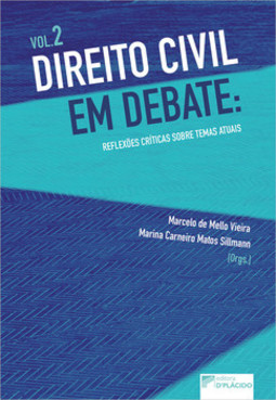 Direito civil em debate: reflexões críticas sobre temas atuais