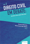 Direito civil em debate: reflexões críticas sobre temas atuais
