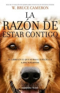 La razón de estar contigo
