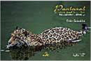 Pantanal: Cores e Sentimentos