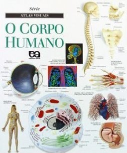 O Corpo Humano