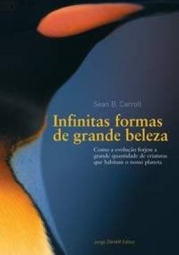 Infinitas Formas de Grande Beleza