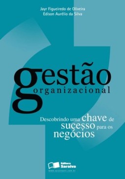 Gestão organizacional: descobrindo uma chave de sucesso para os negócios