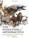 The Evolution Of Artiodactyls