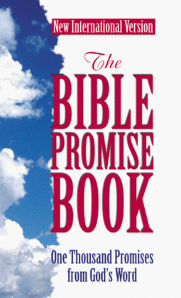 The Bible Promise Book