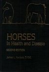 Cavalos na Saúde e na Doença