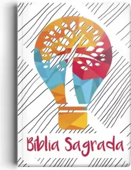 Bíblia NVI grande Novo Testamento - 2 Cores capa especial luz do mundo