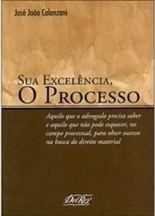 Sua Excelência, o Processo