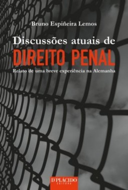Discussões atuais de direito penal: relato de uma breve experiência na Alemanha