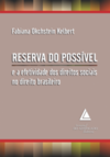 Reserva do possível e a efetividade dos direitos sociais no direito brasileiro