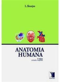 Anatomia Humana