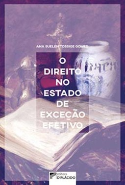 O direito no estado de exceção efetivo