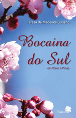 Bocaina do Sul: Em verso e prosa